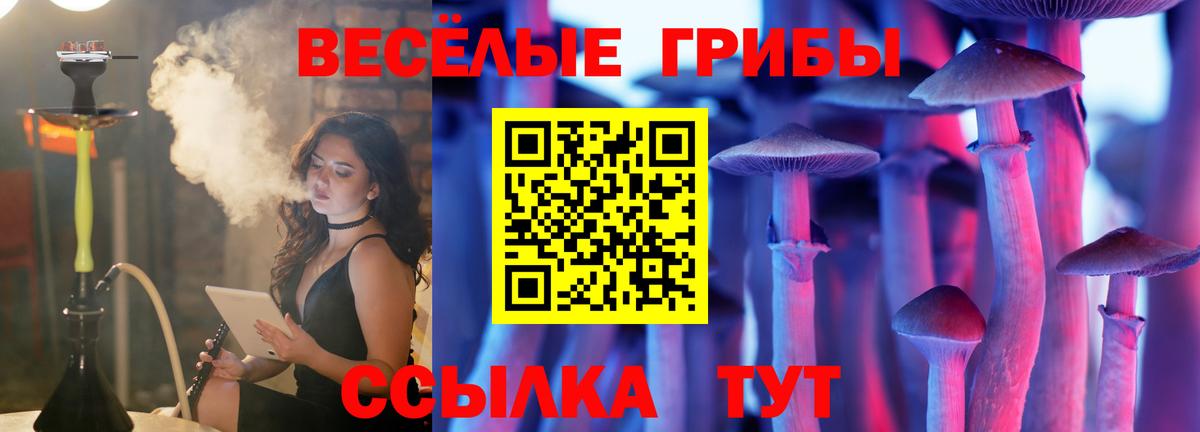 Псилоцибиновые грибы Psilocybe Волжский